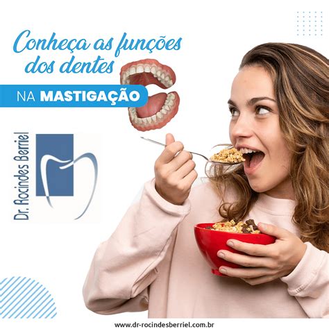 Conheça as funções dos dentes na mastigação!