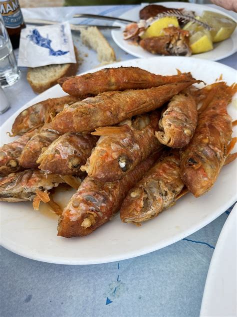 Fish Barbooni Greece - Free photo on Pixabay - Pixabay