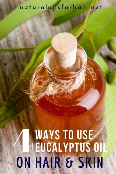 eucalyptus essential oil  hair  skin eucalyptus essential oil