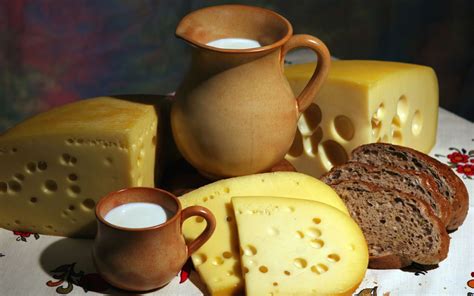 Микробиология сыра