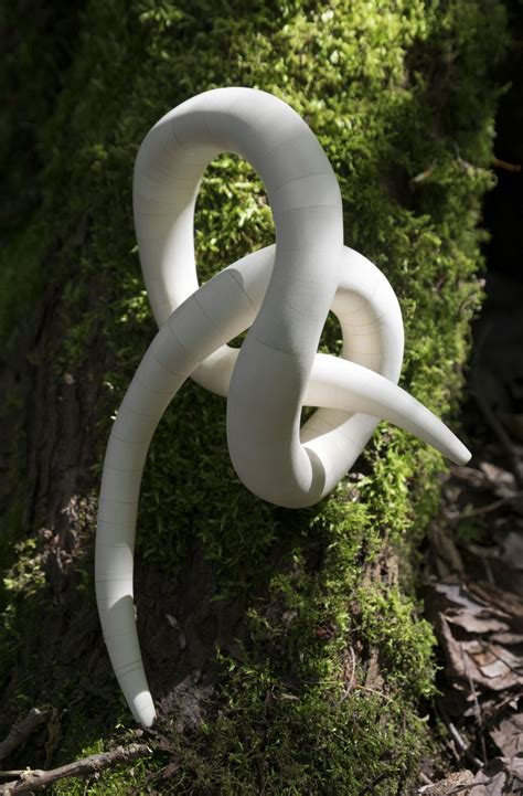 What Color Is Holly Wood at Indiana Seery blog