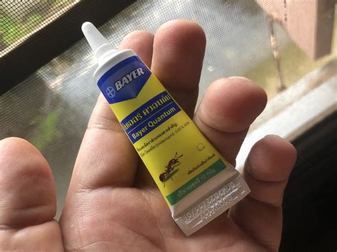how to get rid of ants from house 10