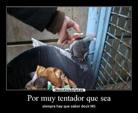 Imágenes y Carteles de TENTADOR | Desmotivaciones