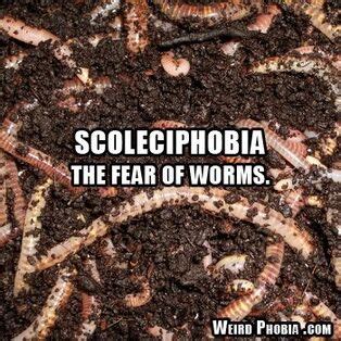 Scoleciphobia | Phobiapedia | Fandom
