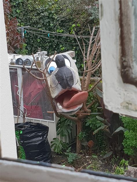 The sight from our bathroom window into our neighbors yard. : r/WTF