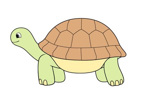 draw  tortoise step  step easylinedrawing