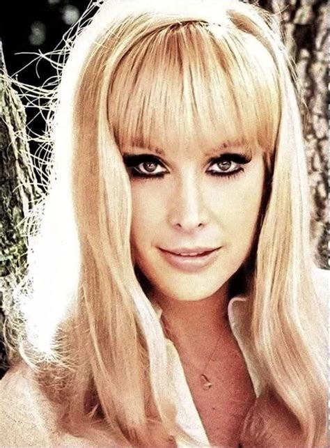 Pin by Keith Yates on Barbara Eden | Barbara eden, Blonde beauty ...