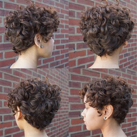 Brown Curly Pixie Hairstyle | Cabelo, Cabelo pixie encaracolado, Cabelo