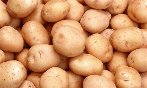 Еврокомиссия не пустила на рынки ЕС украинский картофель | Шарий.net