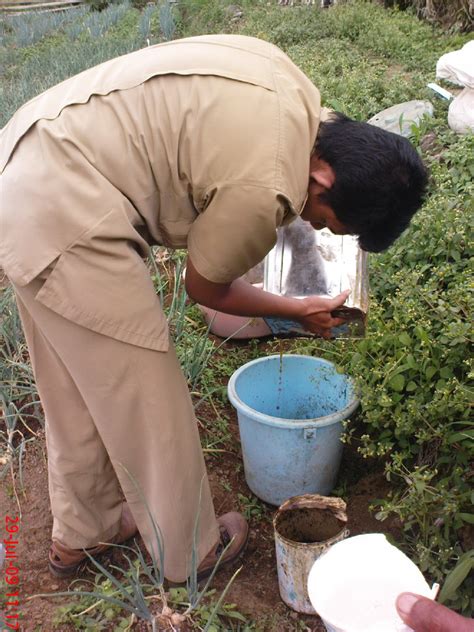 Kandungan Urine Kambing Sebagai Pupuk Organik 8
