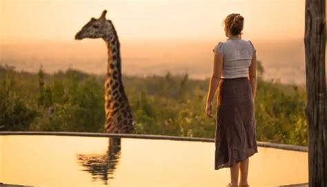 Can You Have a Pet Giraffe? 4 Reasons Why You Shouldn't - Wild Explained