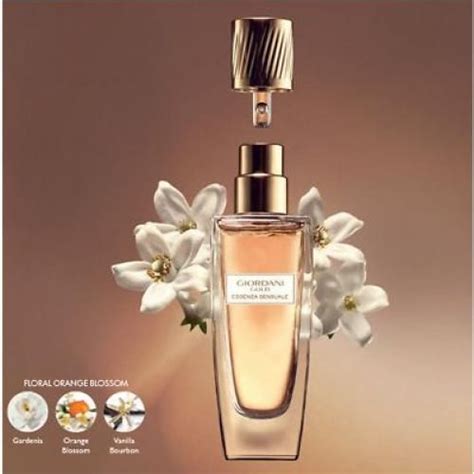 Parfum Très concentré Giordani Gold Essenza Sensuale ... | PrixPad
