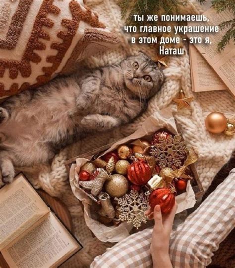 Пост забавных картинок (30 фото) » Клопик.КоМ
