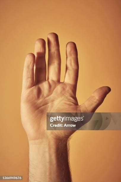 Wave Hand Photos and Premium High Res Pictures - Getty Images