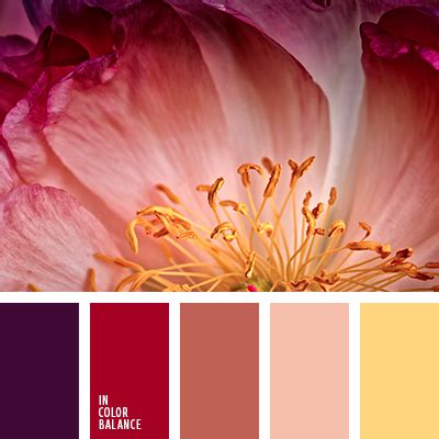 выбор цвета для ремонта | IN COLOR BALANCE