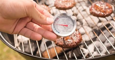 Hamburger Temperature Chart (Free Printable) - Foodie and Wine