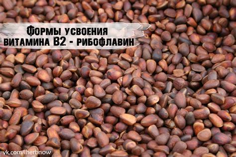 Причины дефицита витамина В2 в организме - как пополнить