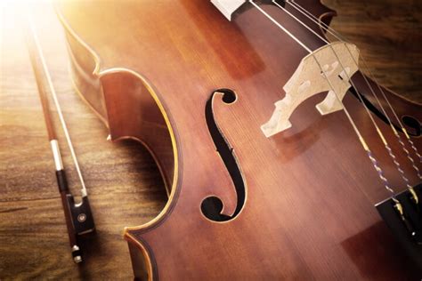 What Exactly Is A Chordophone? (With Examples)