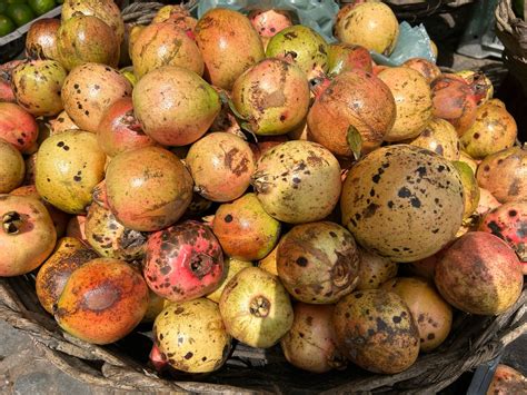 cotacao semanal da ceaca blog  nielson