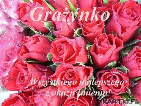 Pin by grażyna on CYTATY in 2021 | Rose, Plants, Flowers