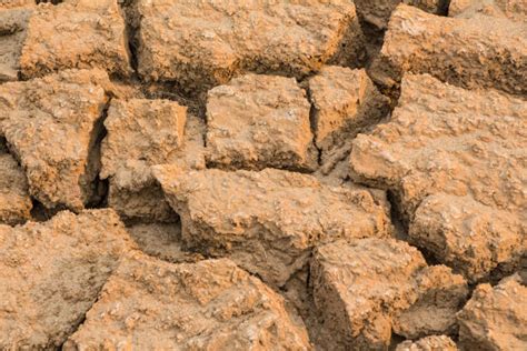 soild stock  pictures royalty  images istock