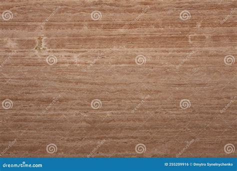 travertine noce stock   royalty  stock