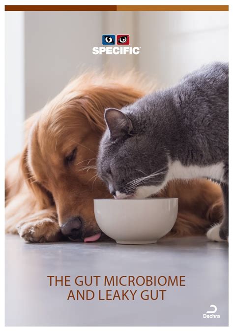 Gastrointestinal Diet from SPECIFIC Nutrition | Dechra