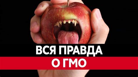 Что такое ГМО ПРОДУКТЫ? Вред ГМО преувеличен. - YouTube