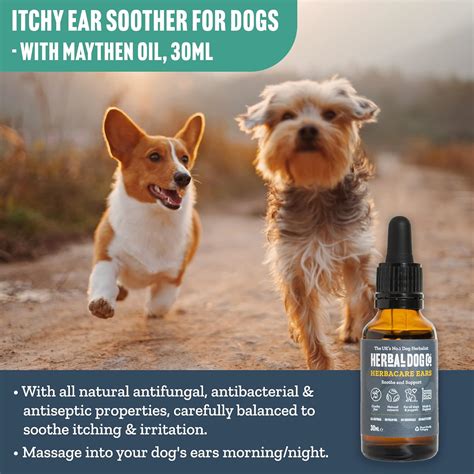 Herbal Dog Co Natural Dog Ear Drops, 30ml – Itchy Ears Tonic for Dogs