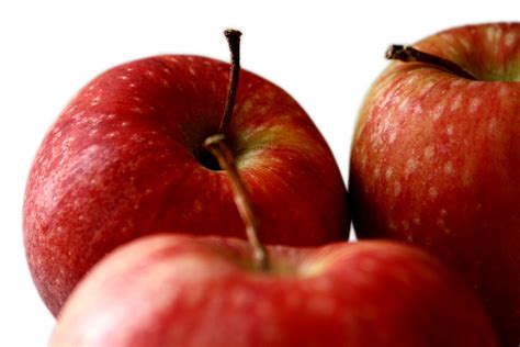 Andrea Apple Opened Apple Photography 4