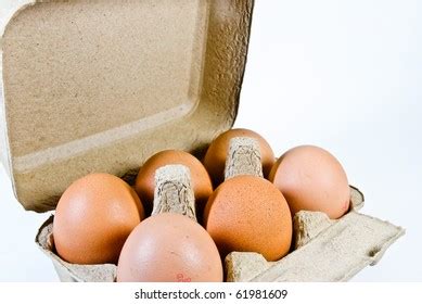 big egg stock photo  shutterstock