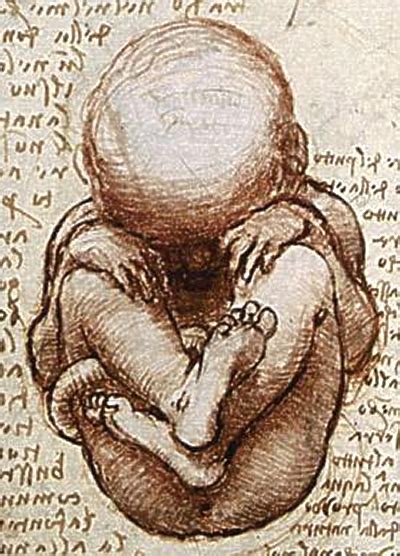 Fetal movement - Wikipedia