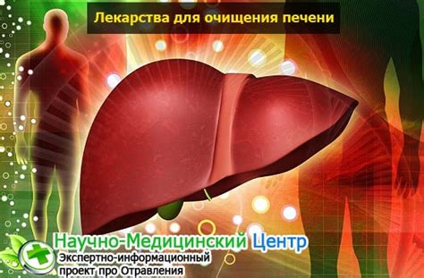 Очищение организма от шлаков и токсинов — Препараты и полезные рецепты ...