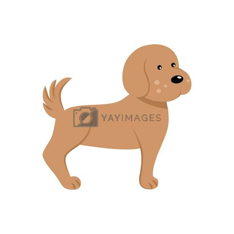 Dog isolated on a white background. Vector flat cartoon illustration