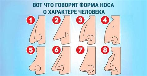 ЧТО ГОВОРИТ ФОРМА НОСА О ХАРАКТЕРЕ ЧЕЛОВЕКА