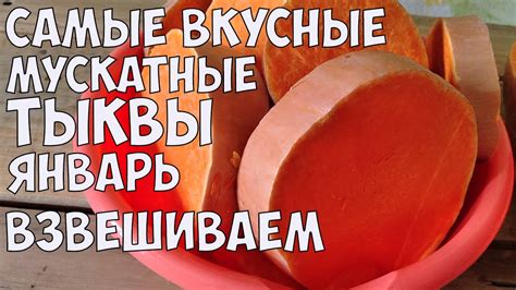 САМЫЕ УРОЖАЙНЫЕ МУСКАТНЫЕ СОРТА ТЫКВЫ!! ДОЛЕЖАЛИ ДО ЯНВАРЯ!!!РАЗРЕЗАЕМ ...