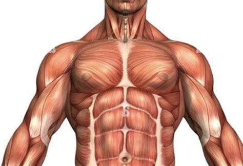 Soothe Muscle Cramps with These Diet Choices