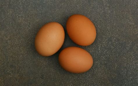 Welbar Chicken Eggs - Everything You Need to Know - LearnPoultry