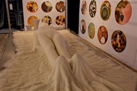 What Does Mushrooms Do For The Body - RYZE Superfoods