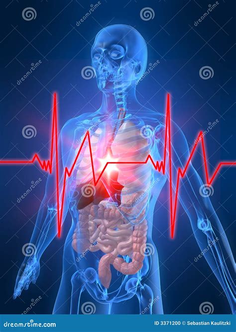 Heartbeat/heartattack stock illustration. Illustration of backbone