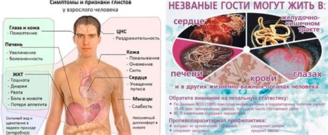 Паразиты в организме человека: симптомы и лечение - Паразиты и грибки в ...