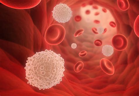 HAEMATOLOGY - Propath Laboratory (Pty) Ltd