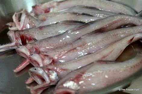 bombil fish  rs kilogram bombay duck fish  pune id