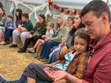 Welcome to Walled Garden Moreton!