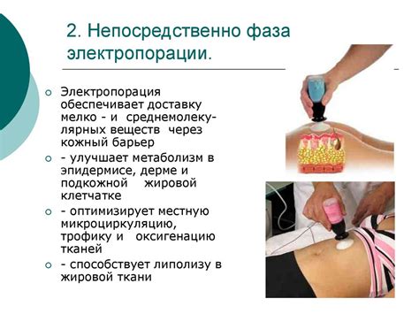 Электропорация. Общие сведения - презентация онлайн