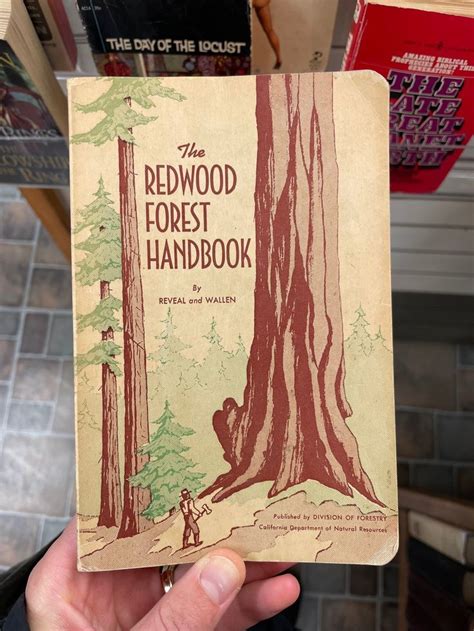Redwood Book Cover