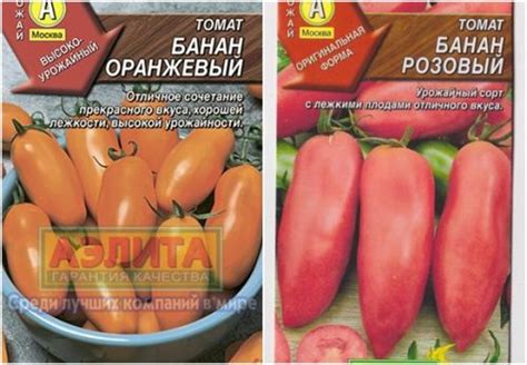 Томат Оранжевый банан: описание сорта, характеристика, выращивание ...