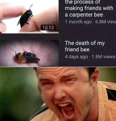 Made with cropped watermark : r/memes