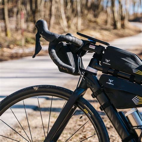 Apidura