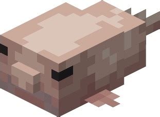 Minecraft Alex's Mobs Flashcards | Quizlet